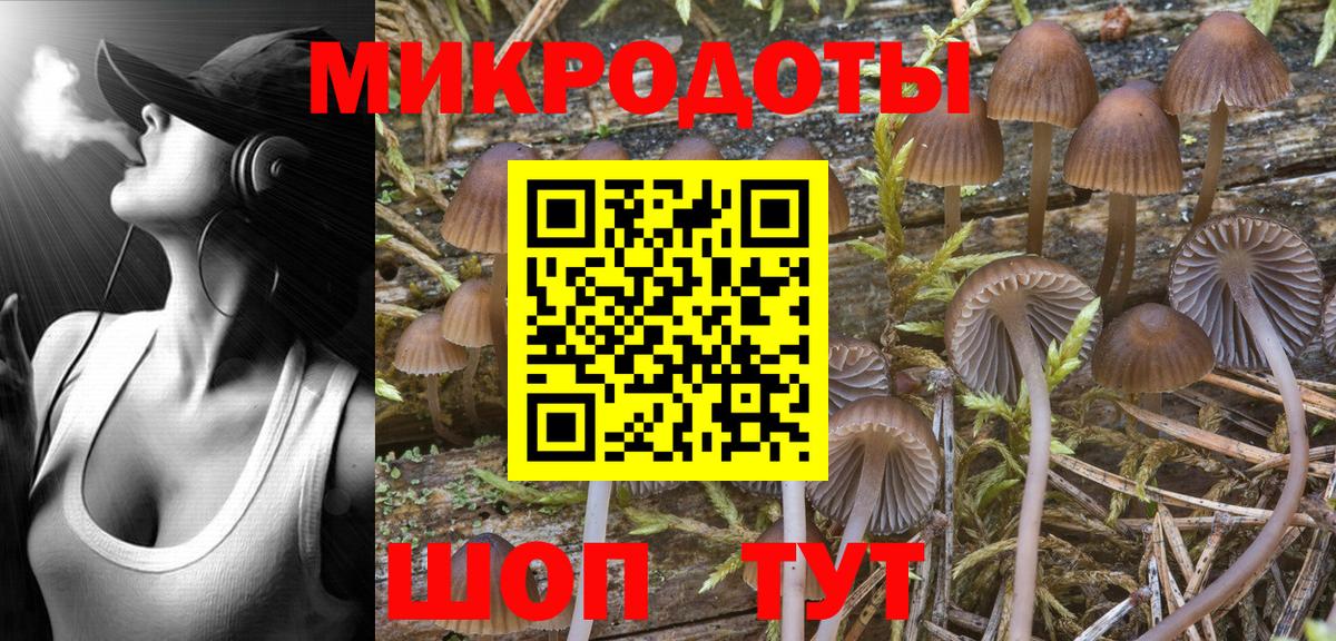 Новороссийск  Псилоцибиновые грибы Magic Shrooms  Вход с VPN 